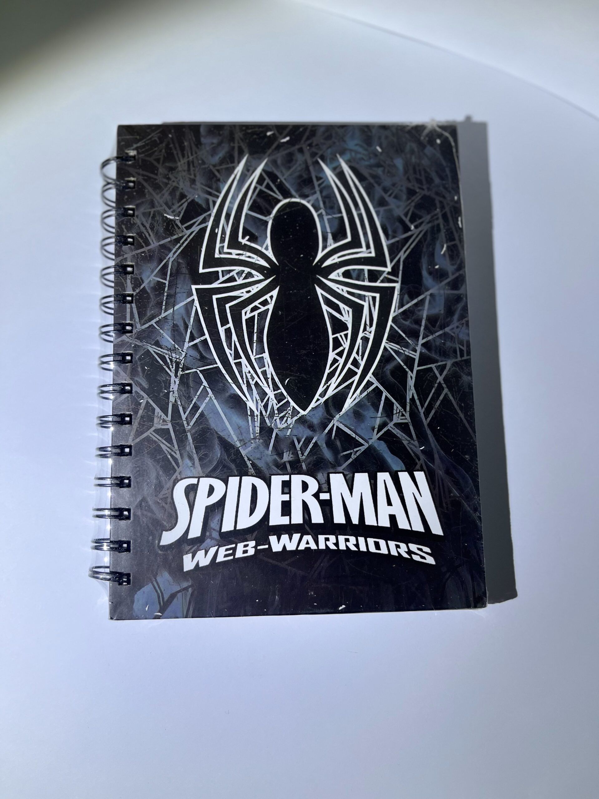With Great Power-A Spider-Man Journal